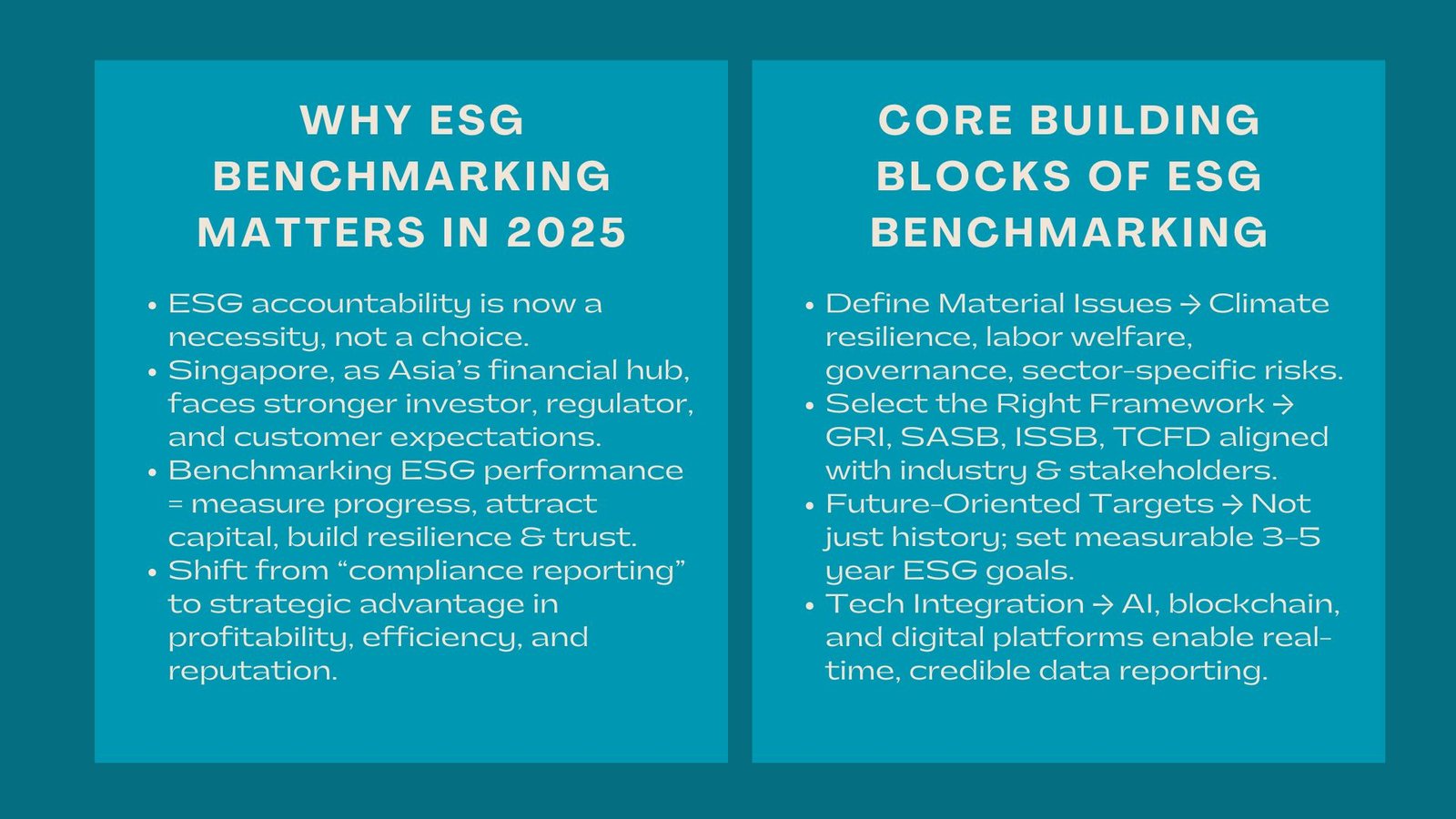 Best ESG Benchmarking Practices for Singapore Companies in 2025