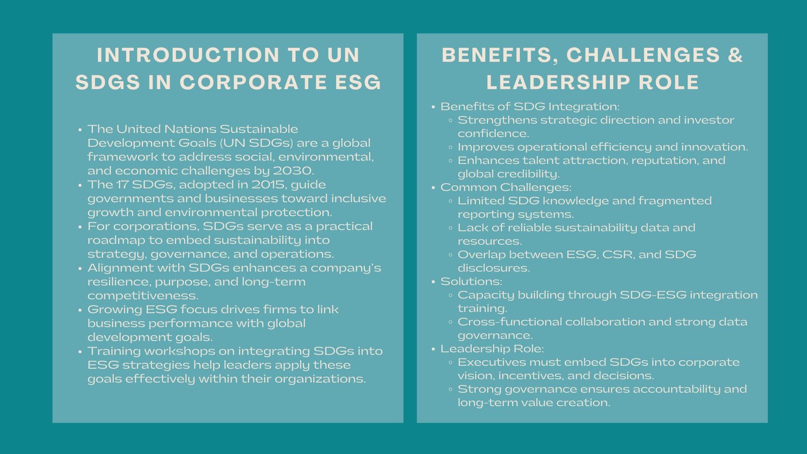 Certified UN SDGs and ESG Strategy Training