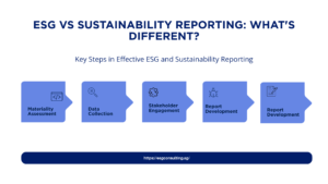 ESG vs Sustainability Reporting What's Different